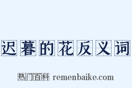 迟暮的花反义词是什么意思的图片